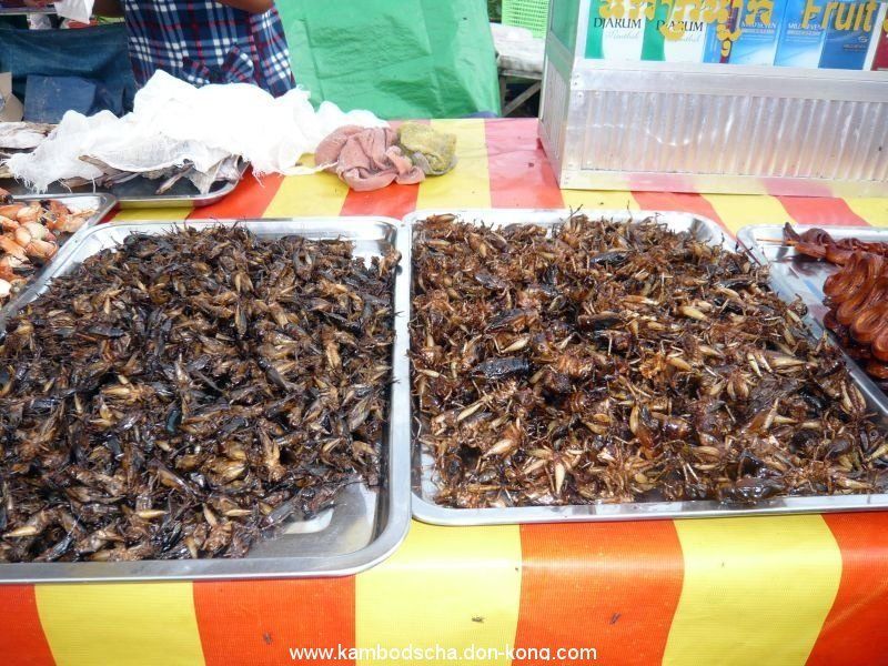 edible-insects-6.jpg