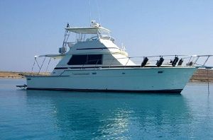 Flybridge Motor Yachts.jpg