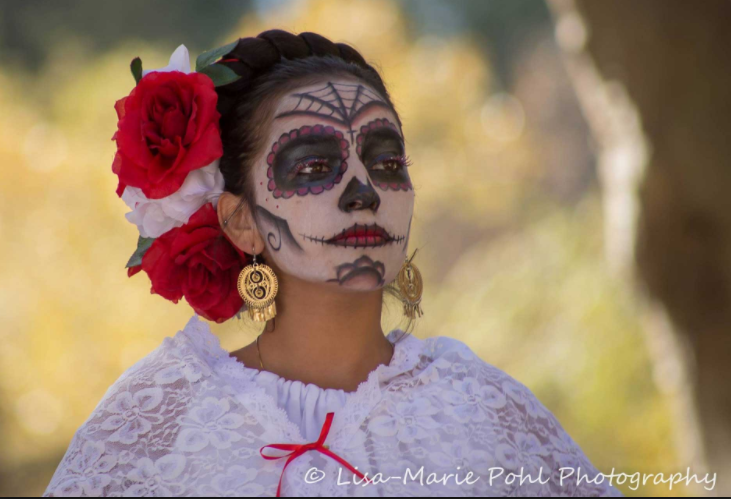 Day of the dead summary — Steemit