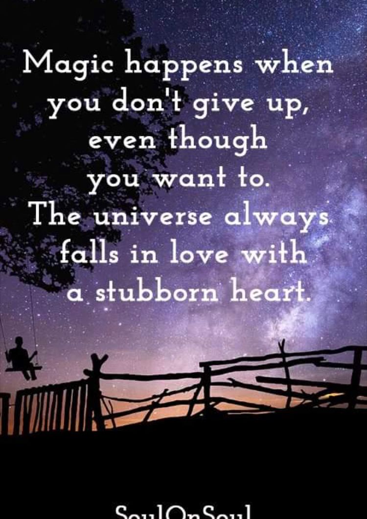 Stubborn heart! — Steemit