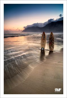 b62b3eab40dc98c9b6a348b565c8e07a--surf-boards-beach-sunsets.jpg