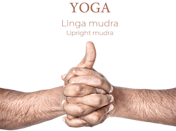 Linga-Mudra.jpg