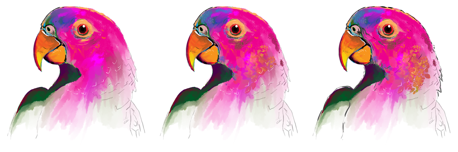 parrot_col03.png