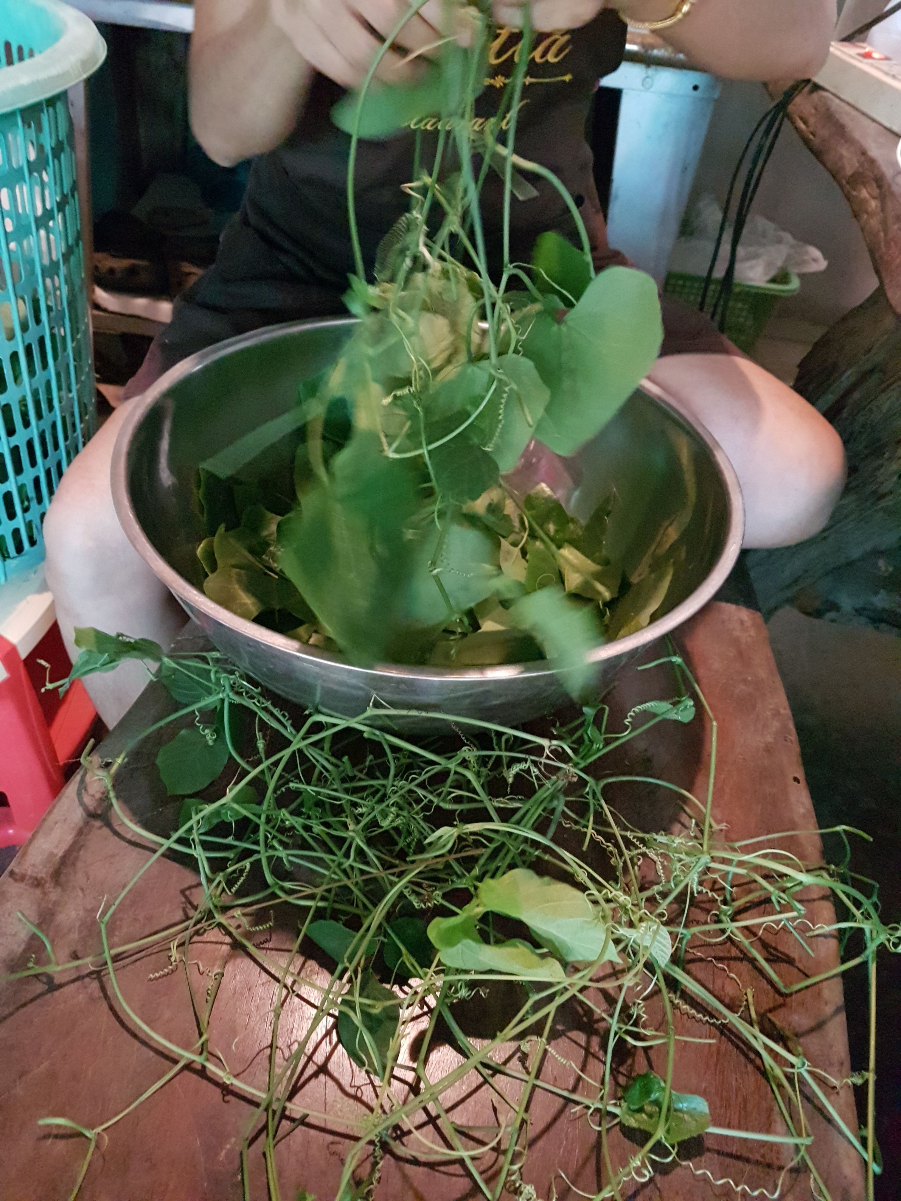 20170902_165313.jpg
