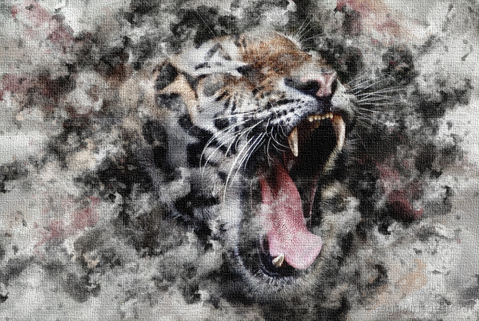 Tiger Watercolor.jpg