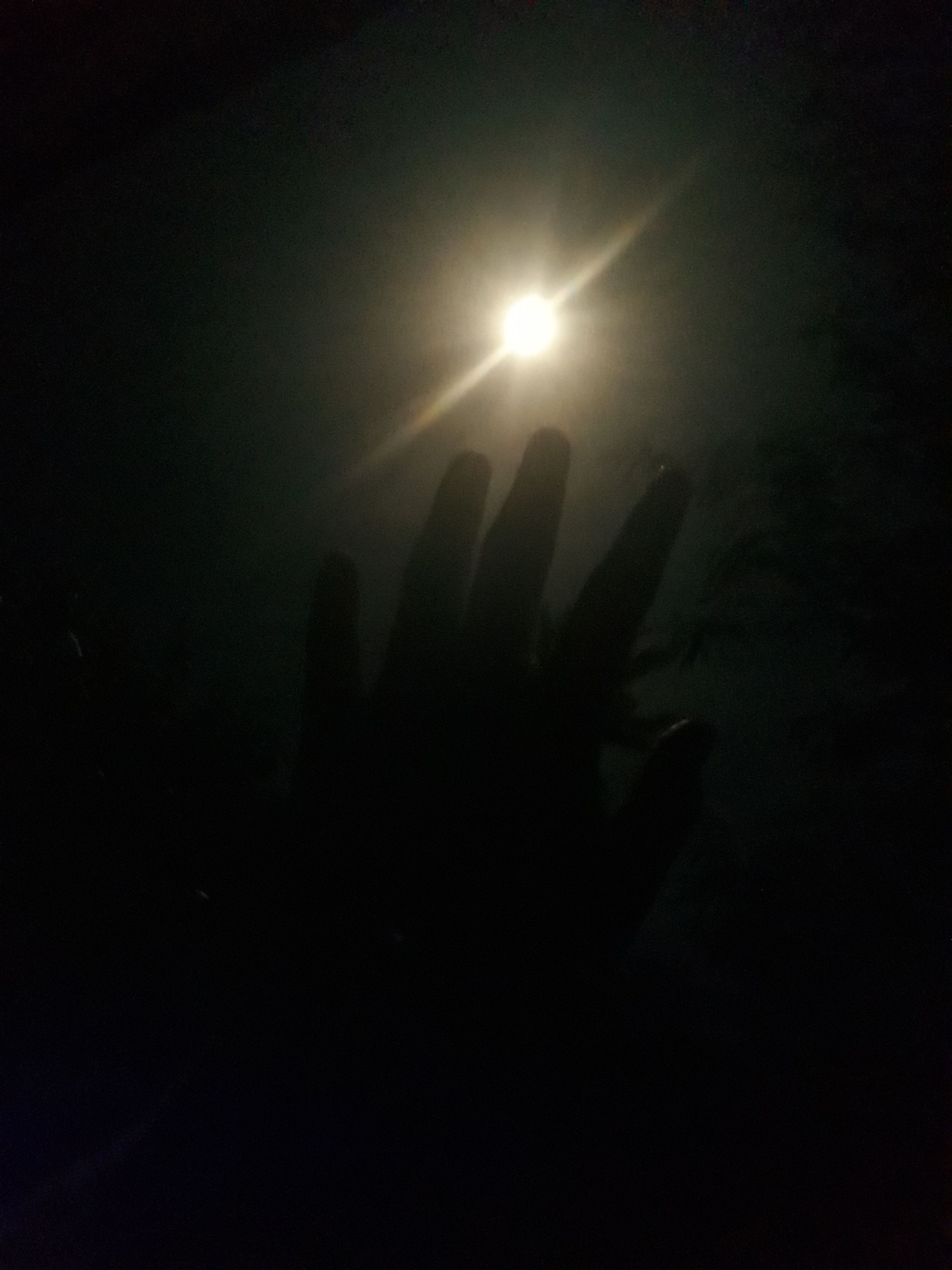 20180301_211720.jpg