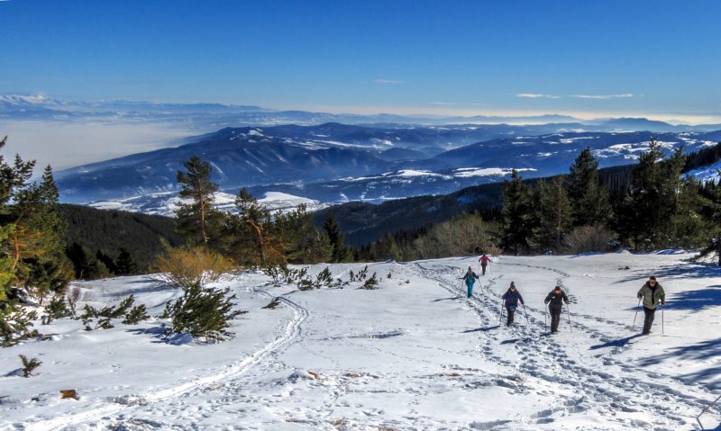 vitosha-3-1-e1486057608445.jpg