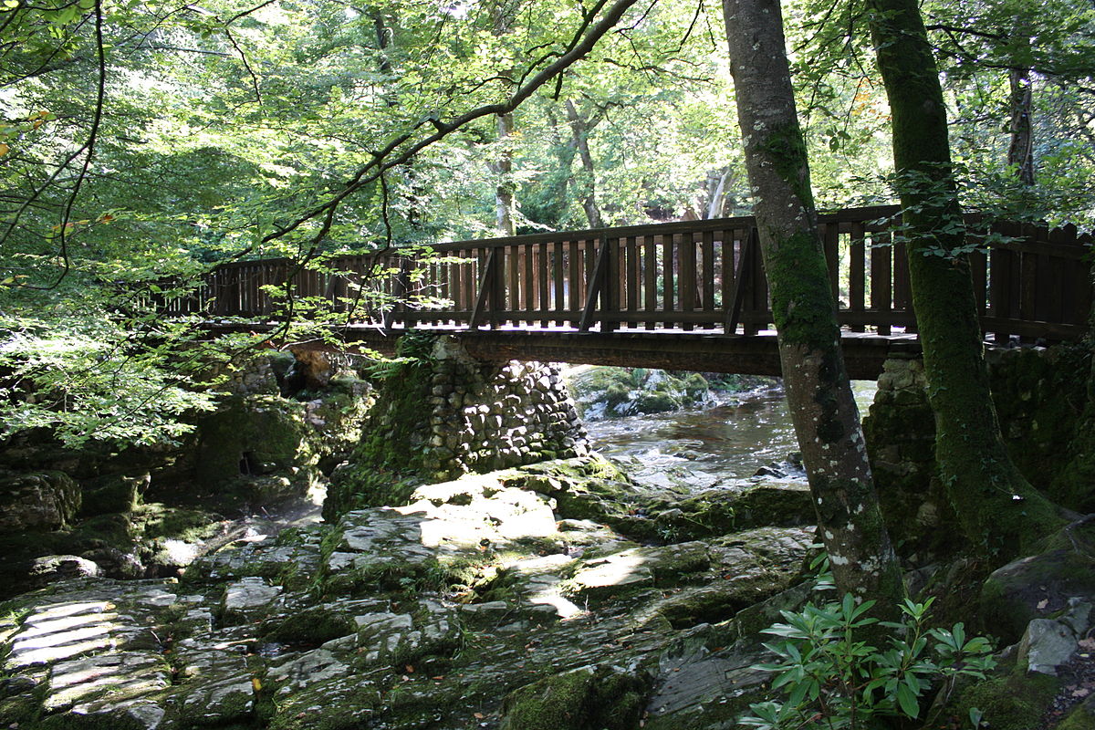 1200px-Tollymore_Forest_Park,_September_2010_(10).JPG