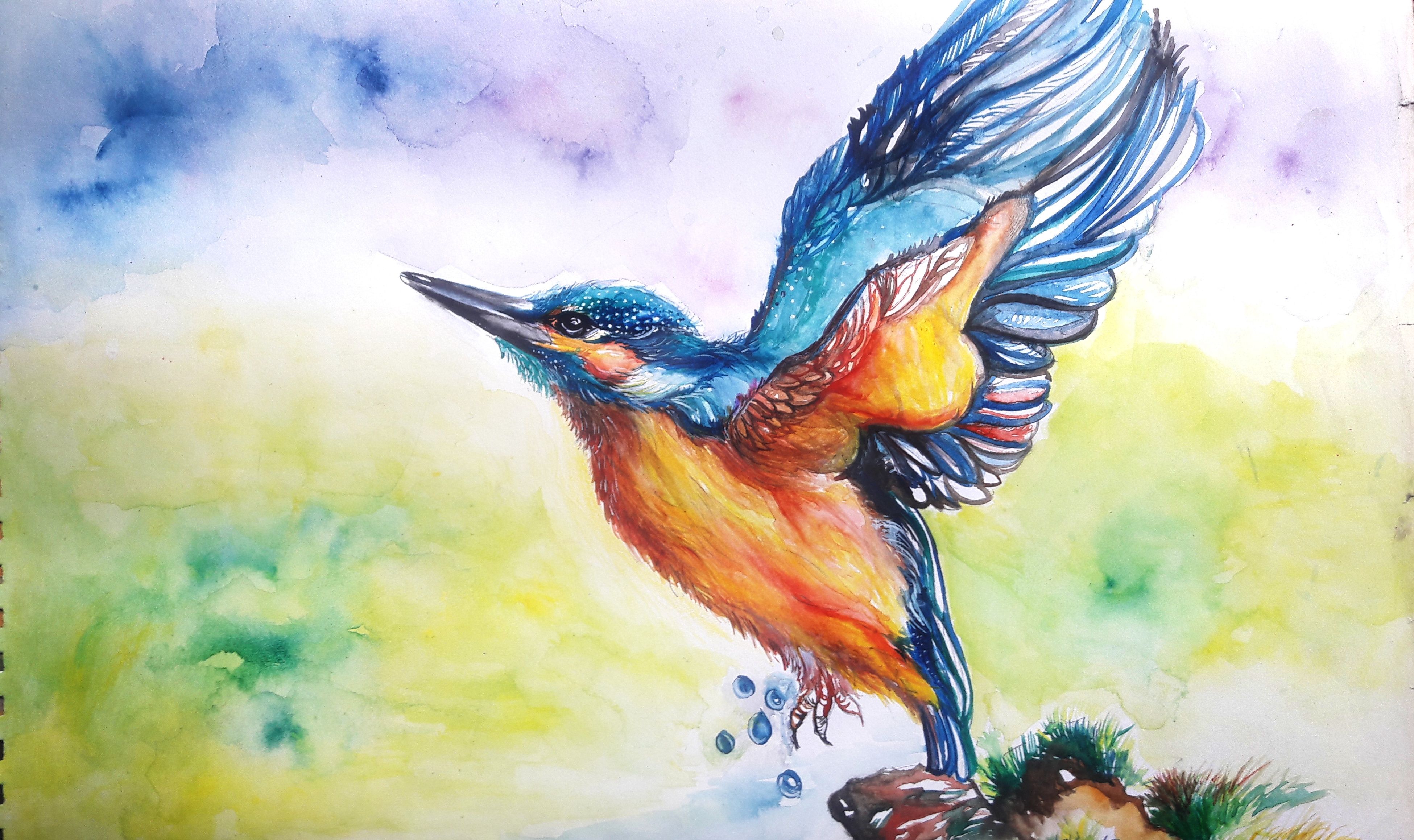 A4 Art Marker Pen Sketch Drawing Kingfisher Animal Bird B Poster | eBay