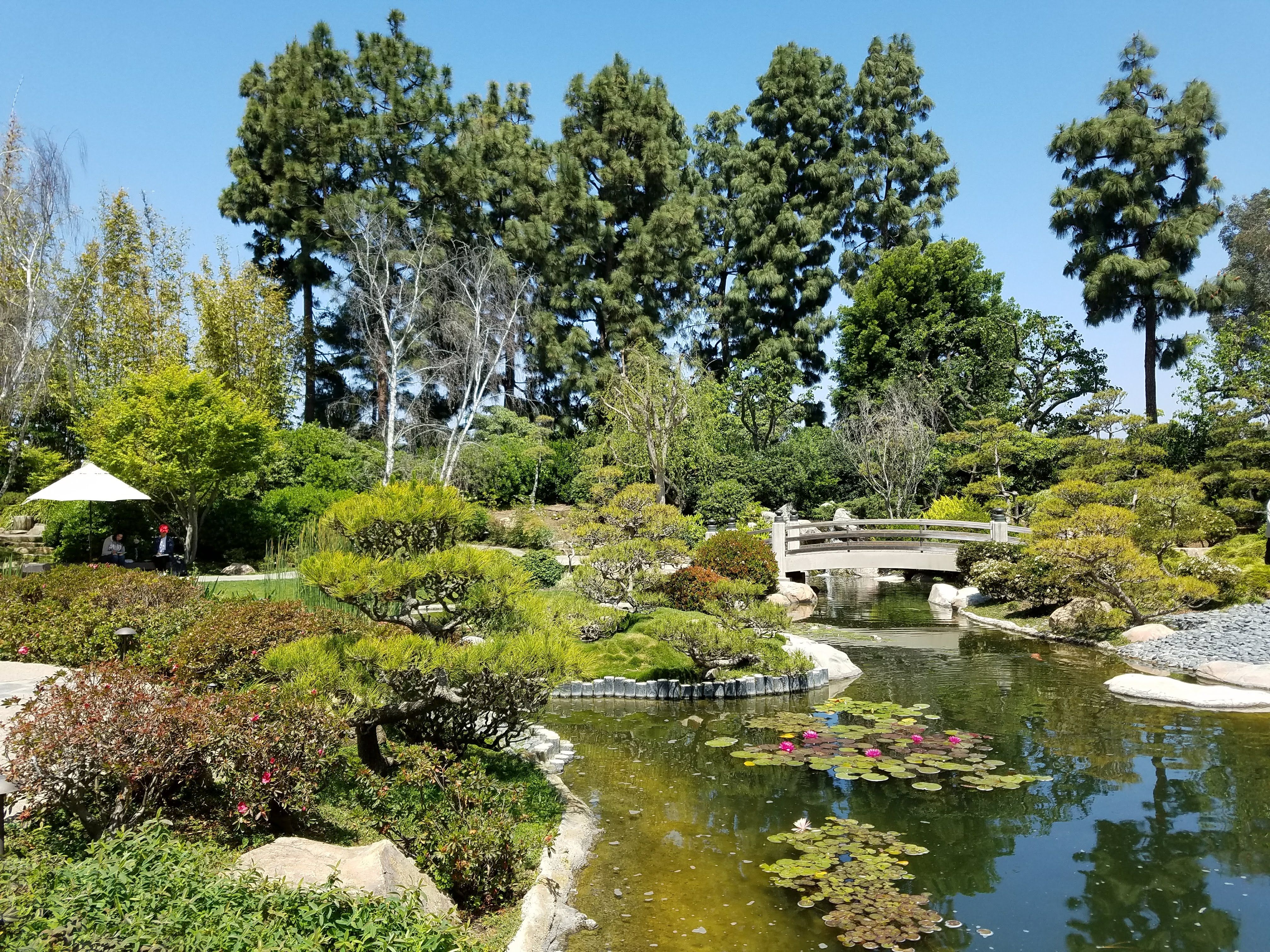 20180427_120032.jpg