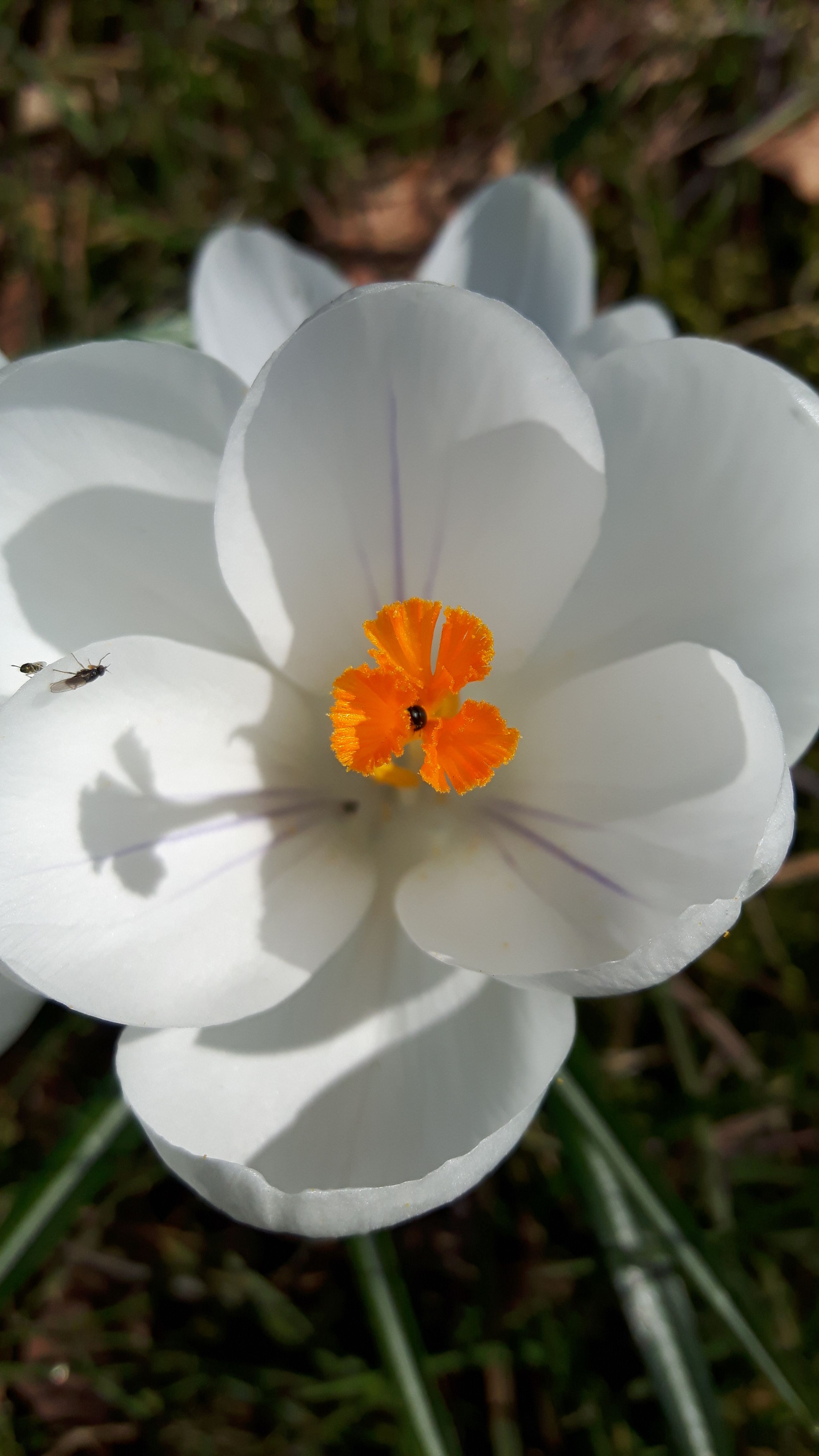 20180408_144732.jpg