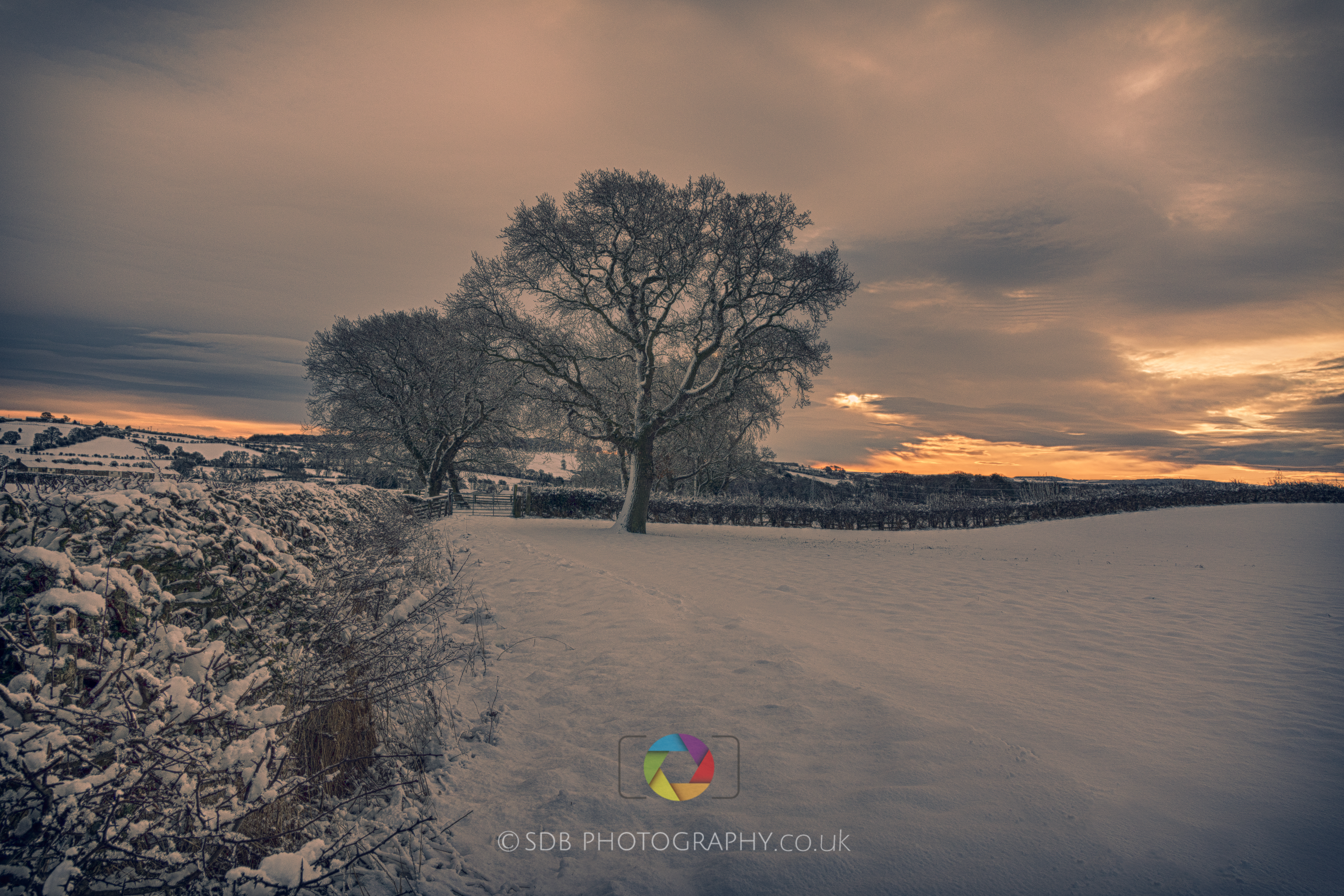 Morning Light -DSC_7179.jpg