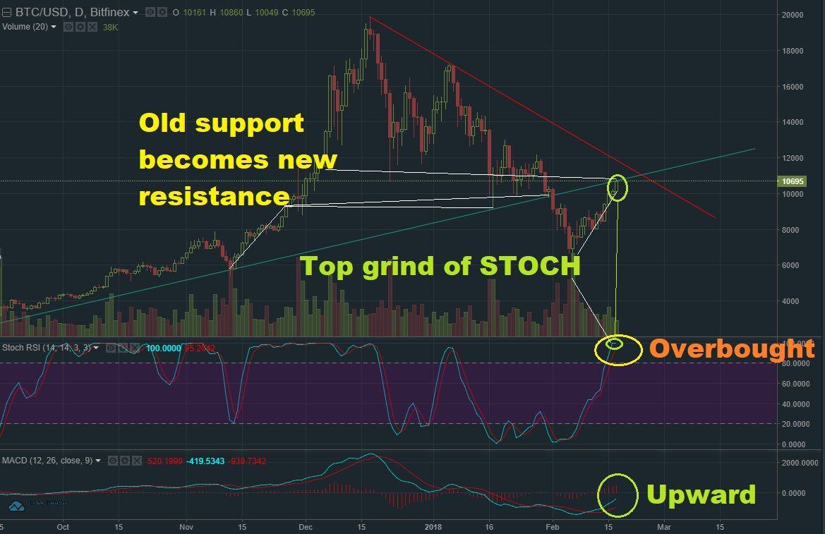 Feb 17 BTC T&A2.jpg