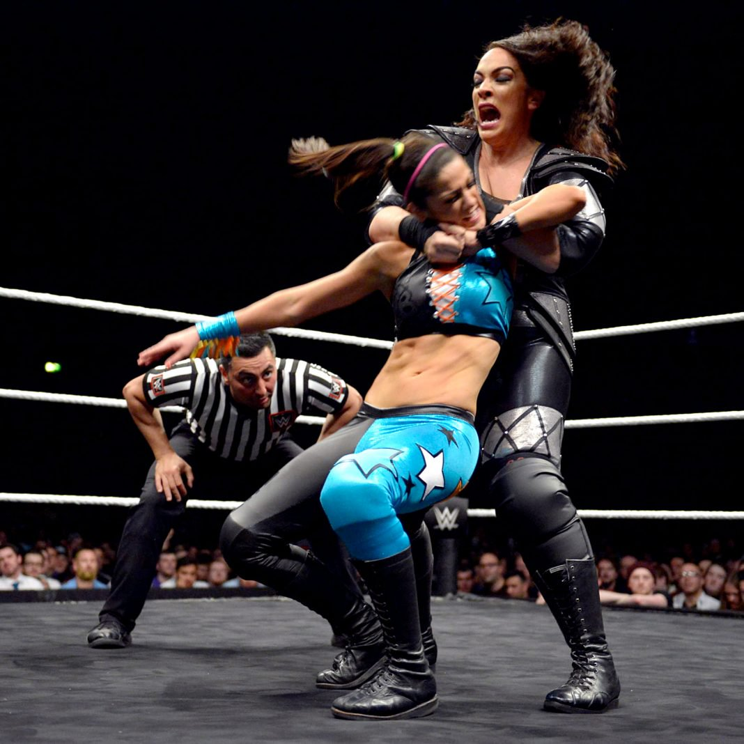 wwe girls fight