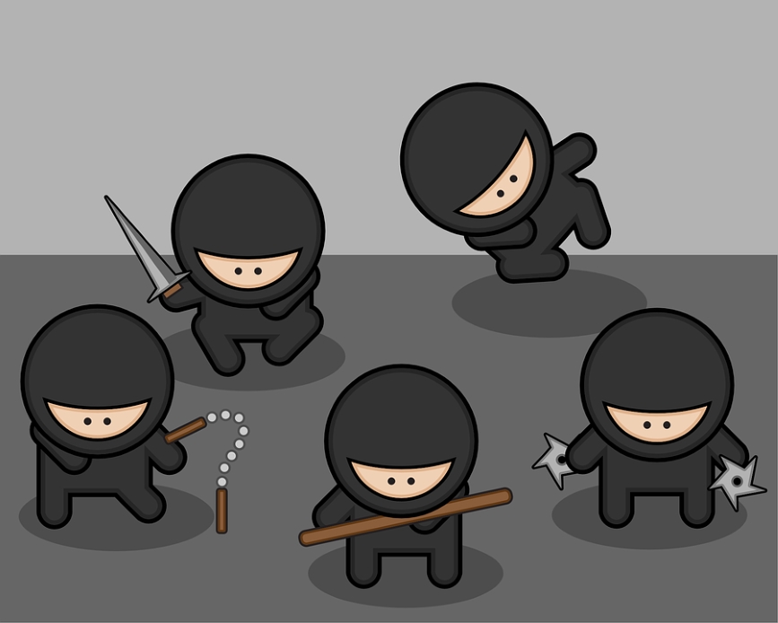 Ninjafight.jpg