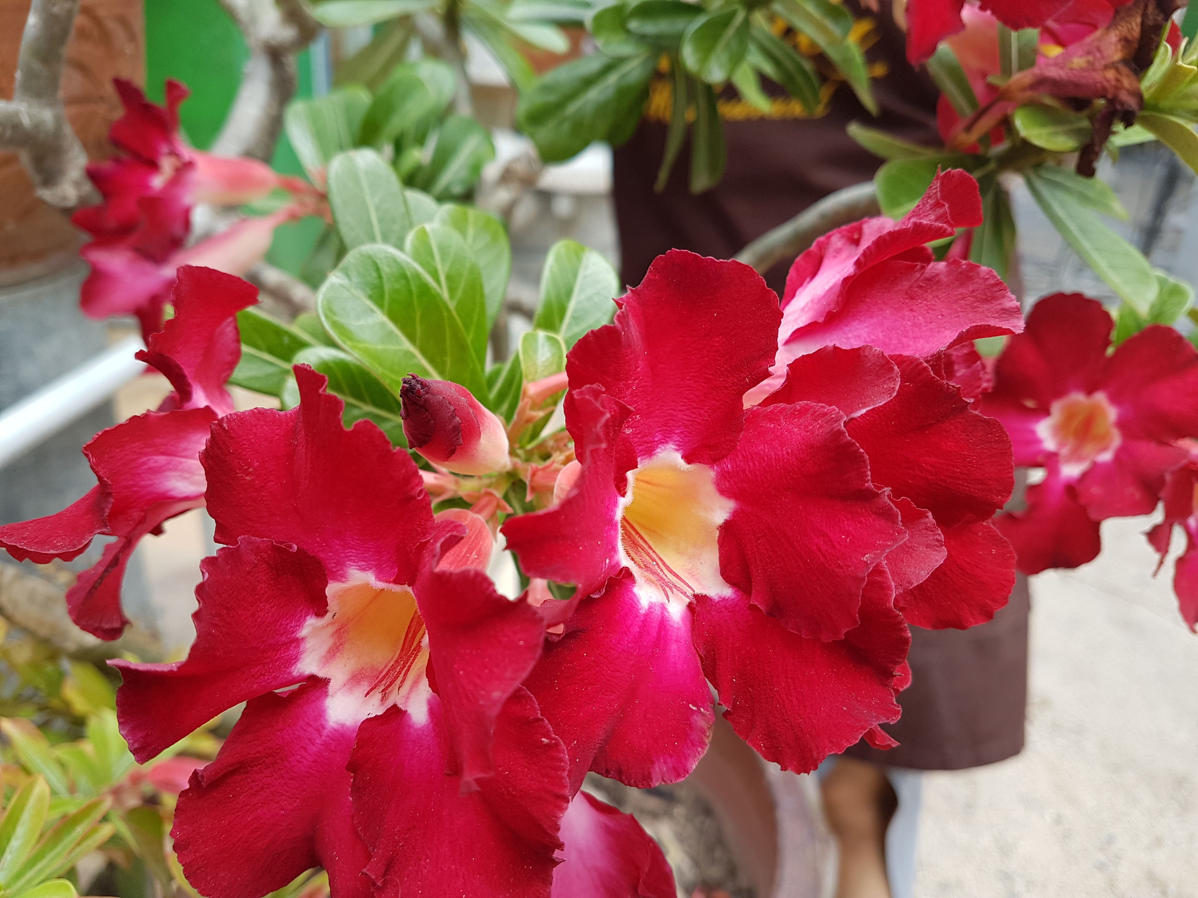 20170827_104207.jpg