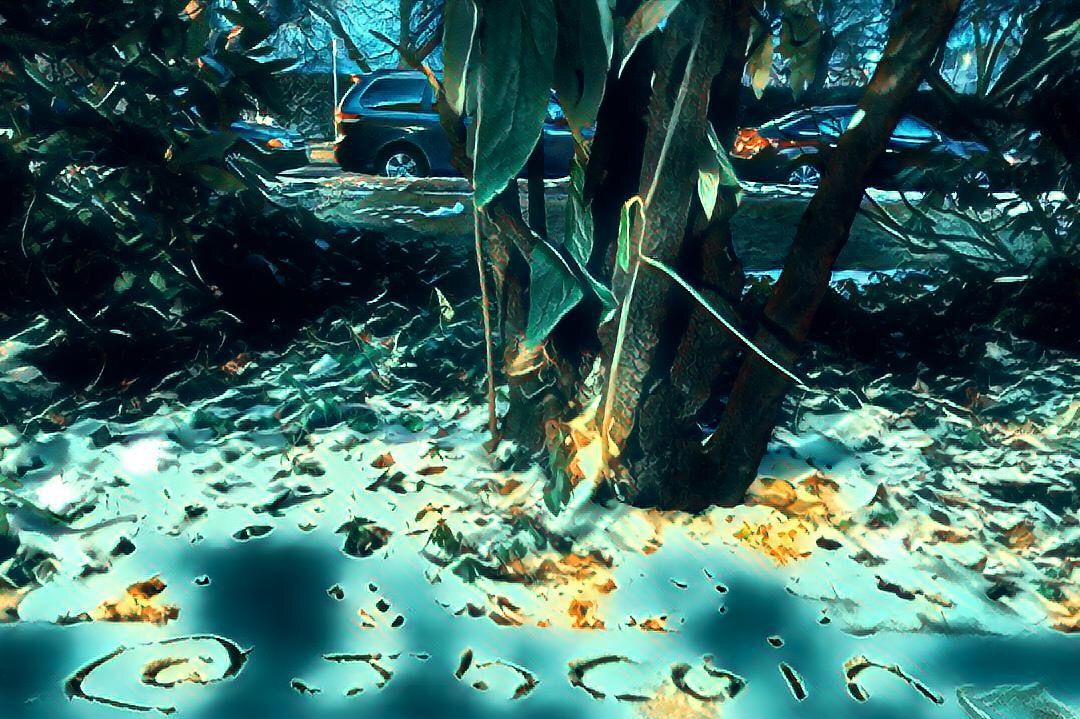 20180314_190417.jpg