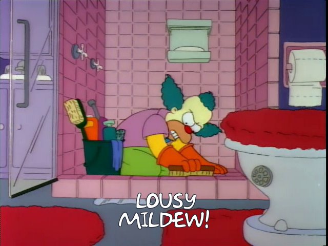 lousy mildew.jpg