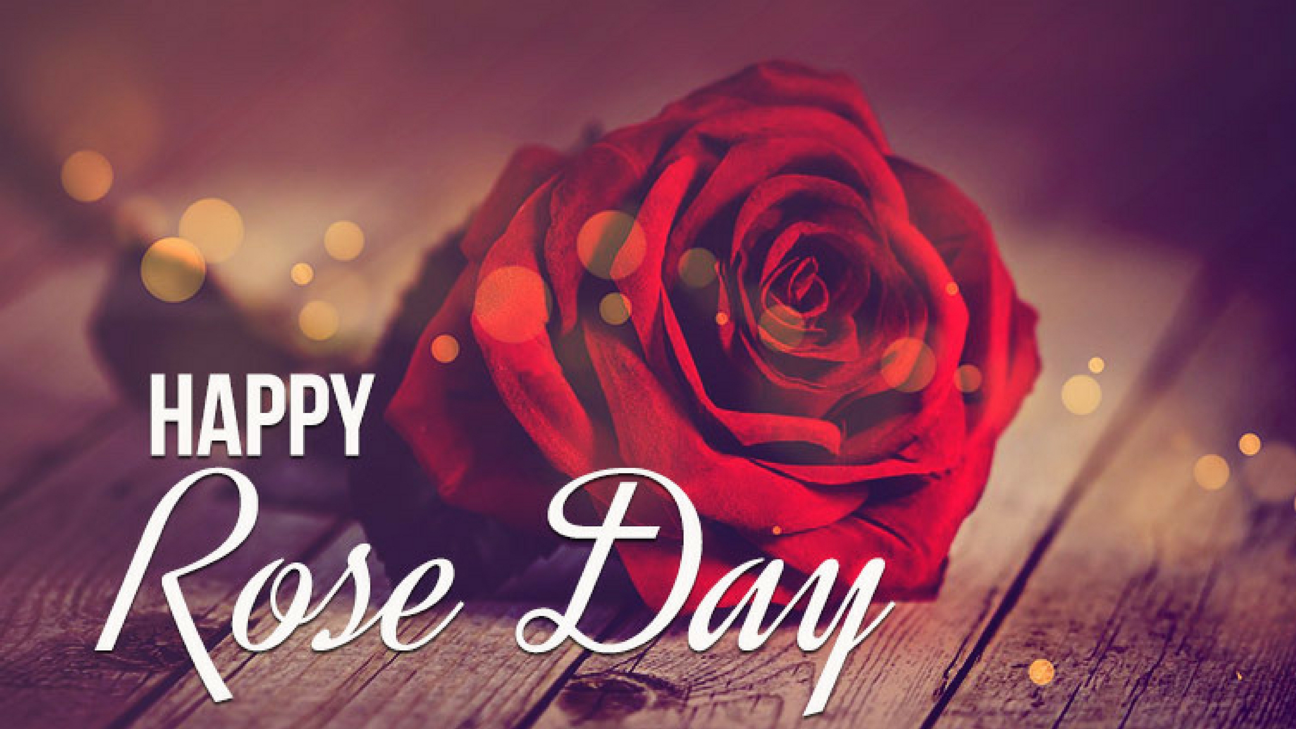 Rose day. Хэппи Роуз. Happy Rose Day. День розы (Rose Day) - Индия. Rose status.