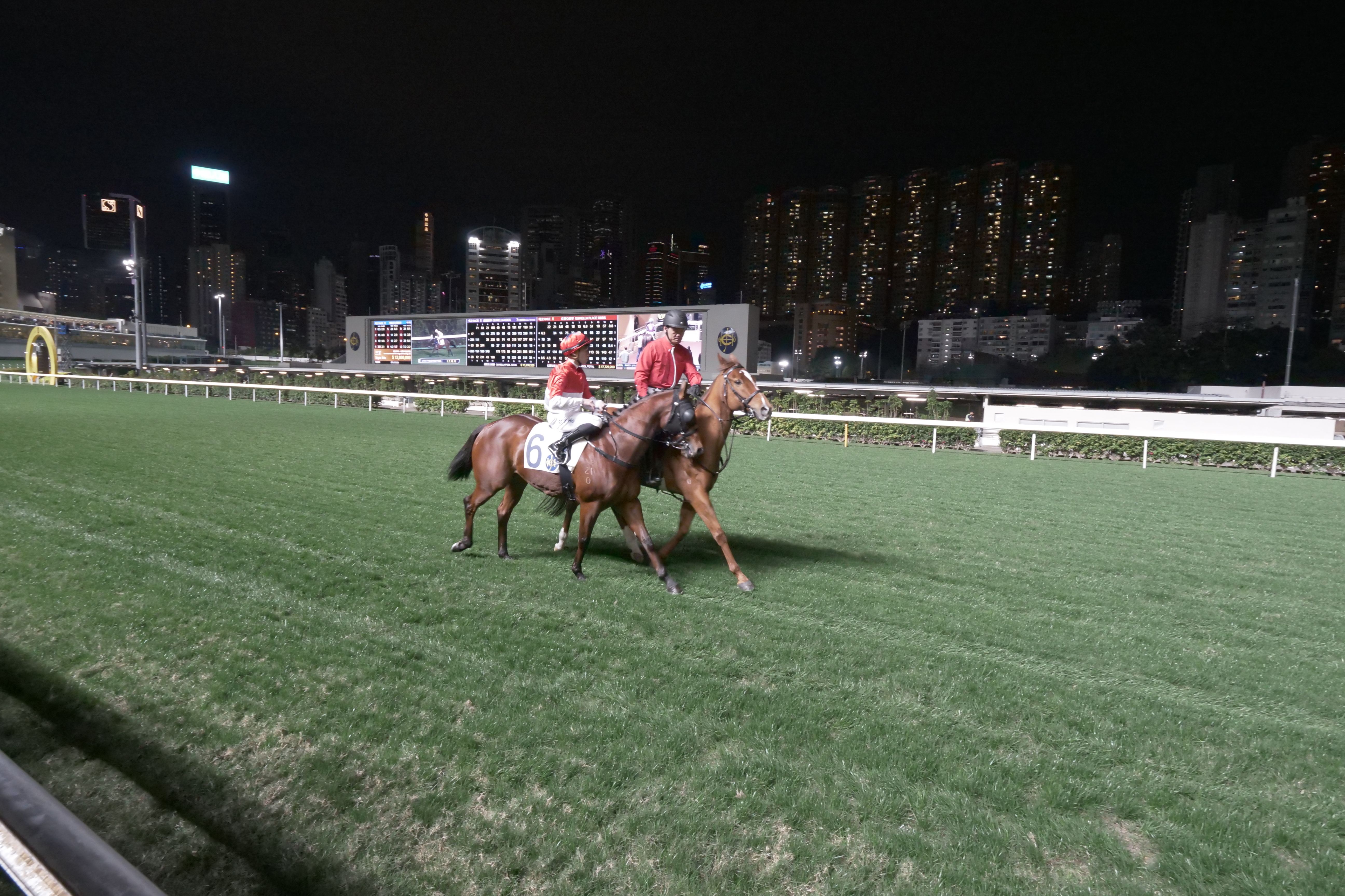 P1000296.JPG