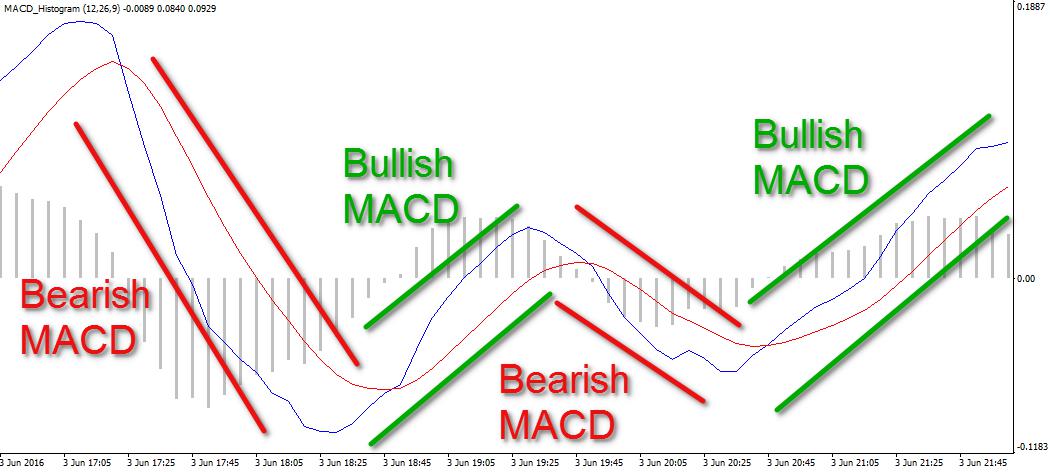 Bullish-and-Bearish-MACD.jpg