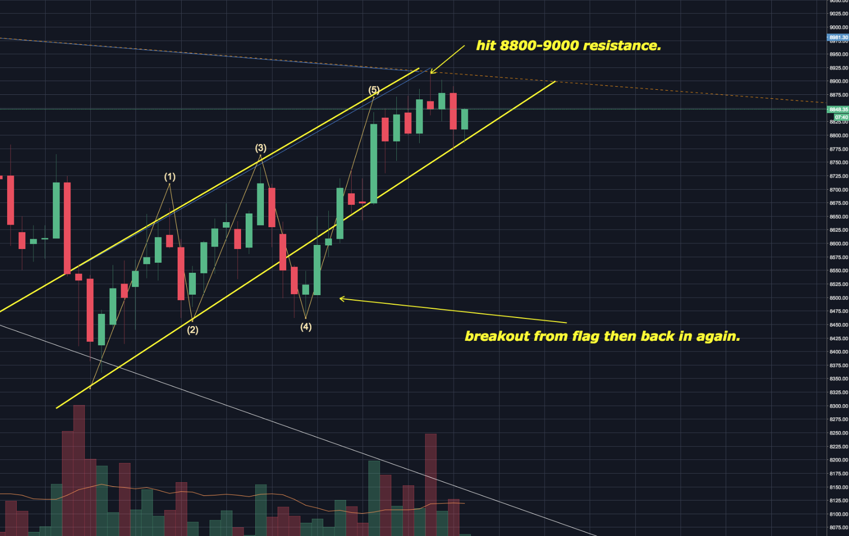 Completed bear Flag Option 2.png