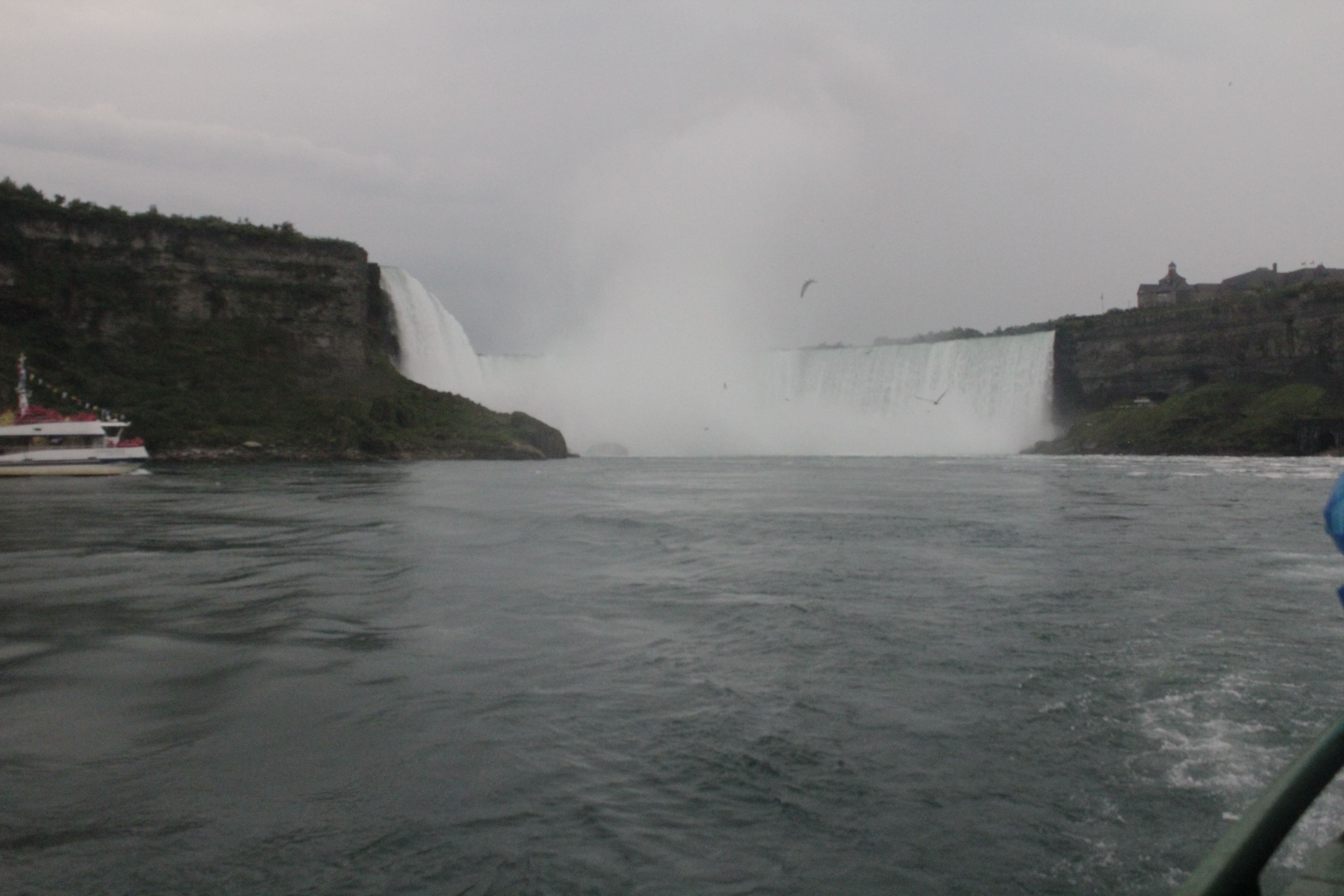 _MG_0979.JPG