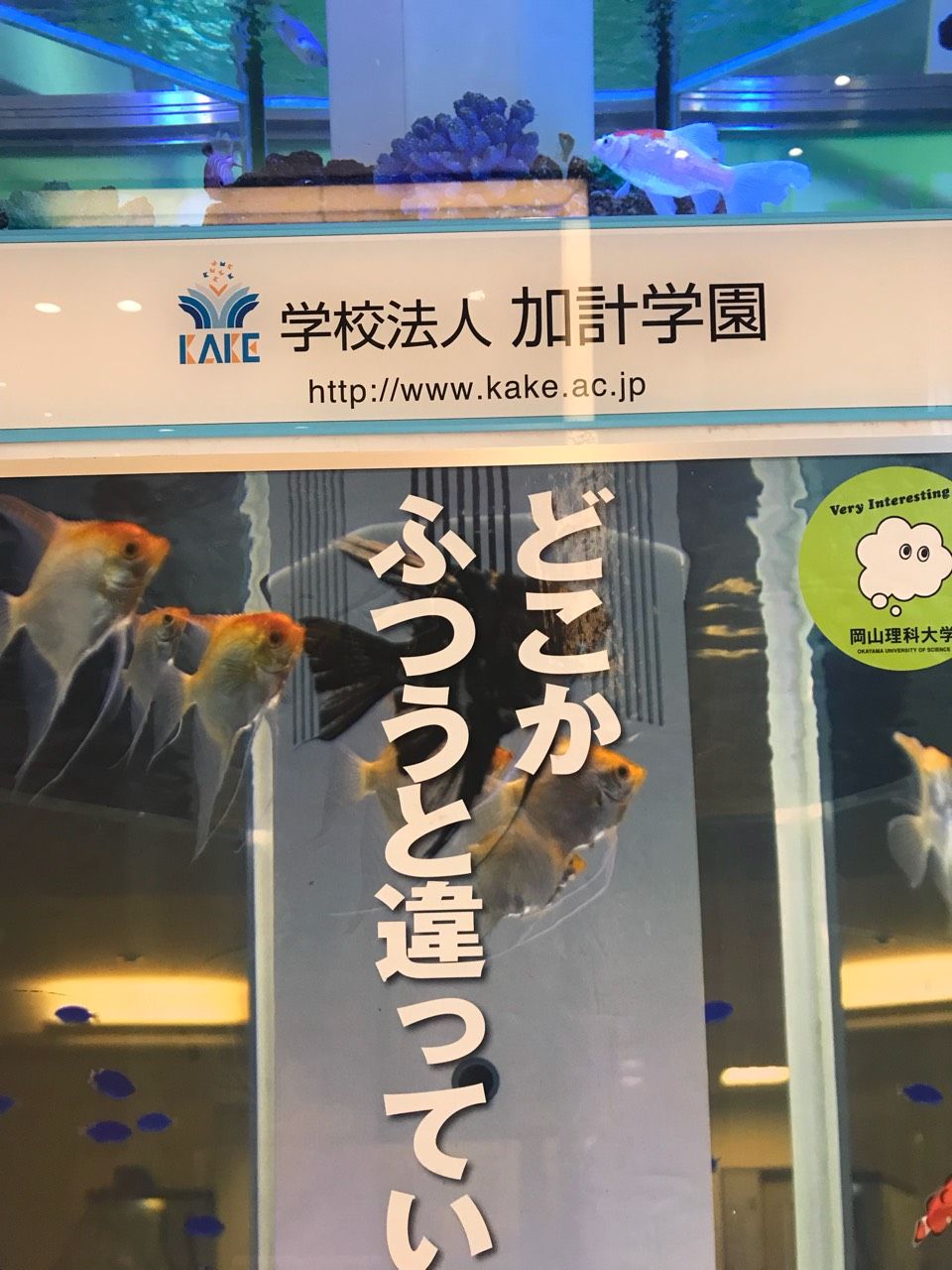7370af6e-51a9-43d2-be1c-fb1fe3dff6b8.jpg