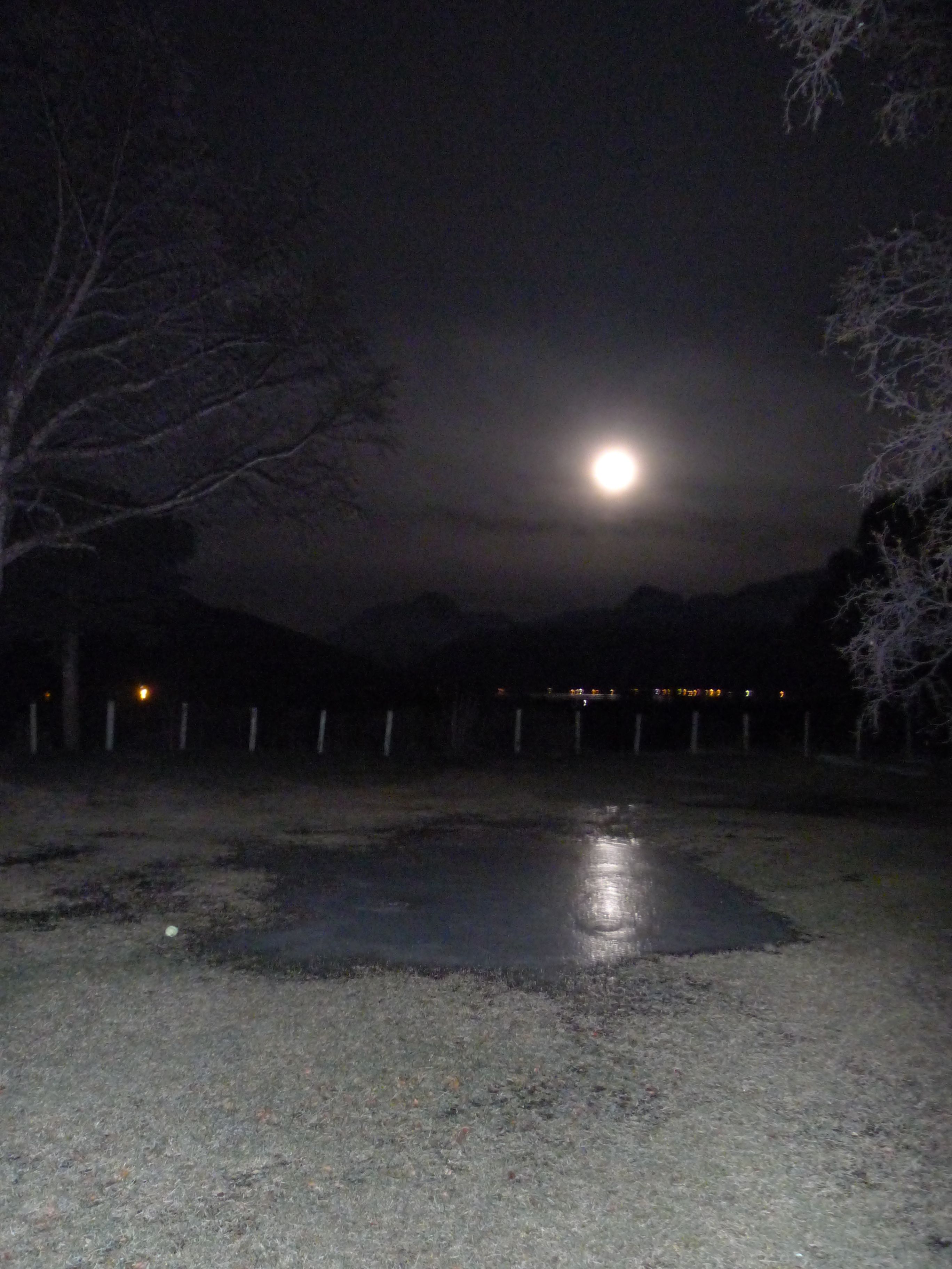 P1100215.JPG