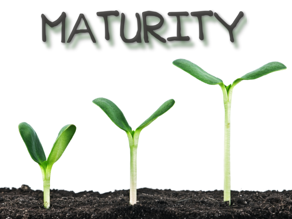 maturity-cover-001.jpg