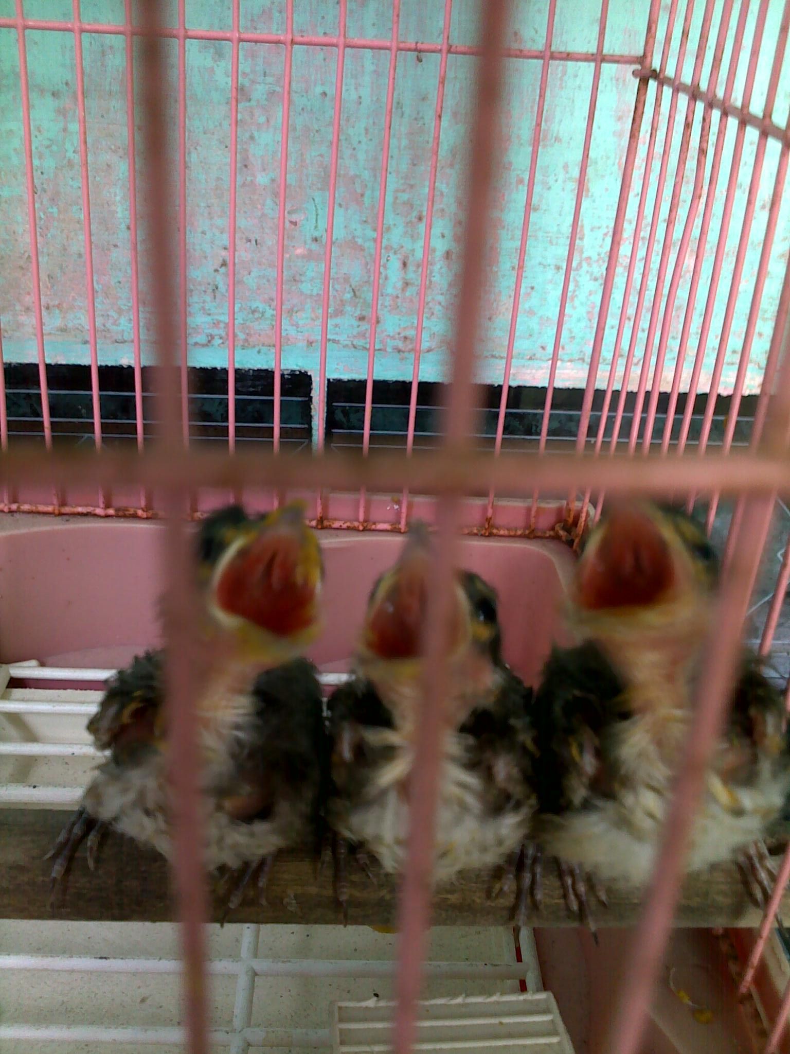24042013203.jpg