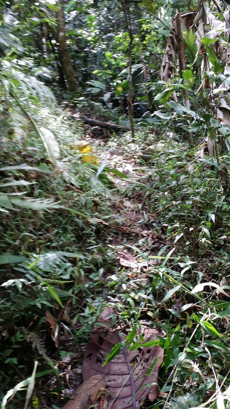 21 - Long path continues through the nature reserve climbing up into the mountain.jpg