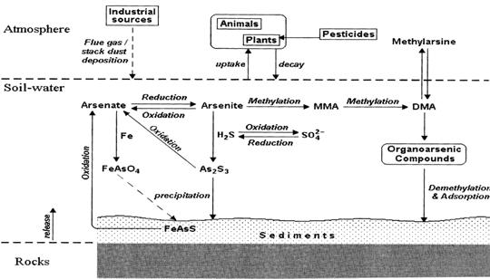 Figure 3.jpg