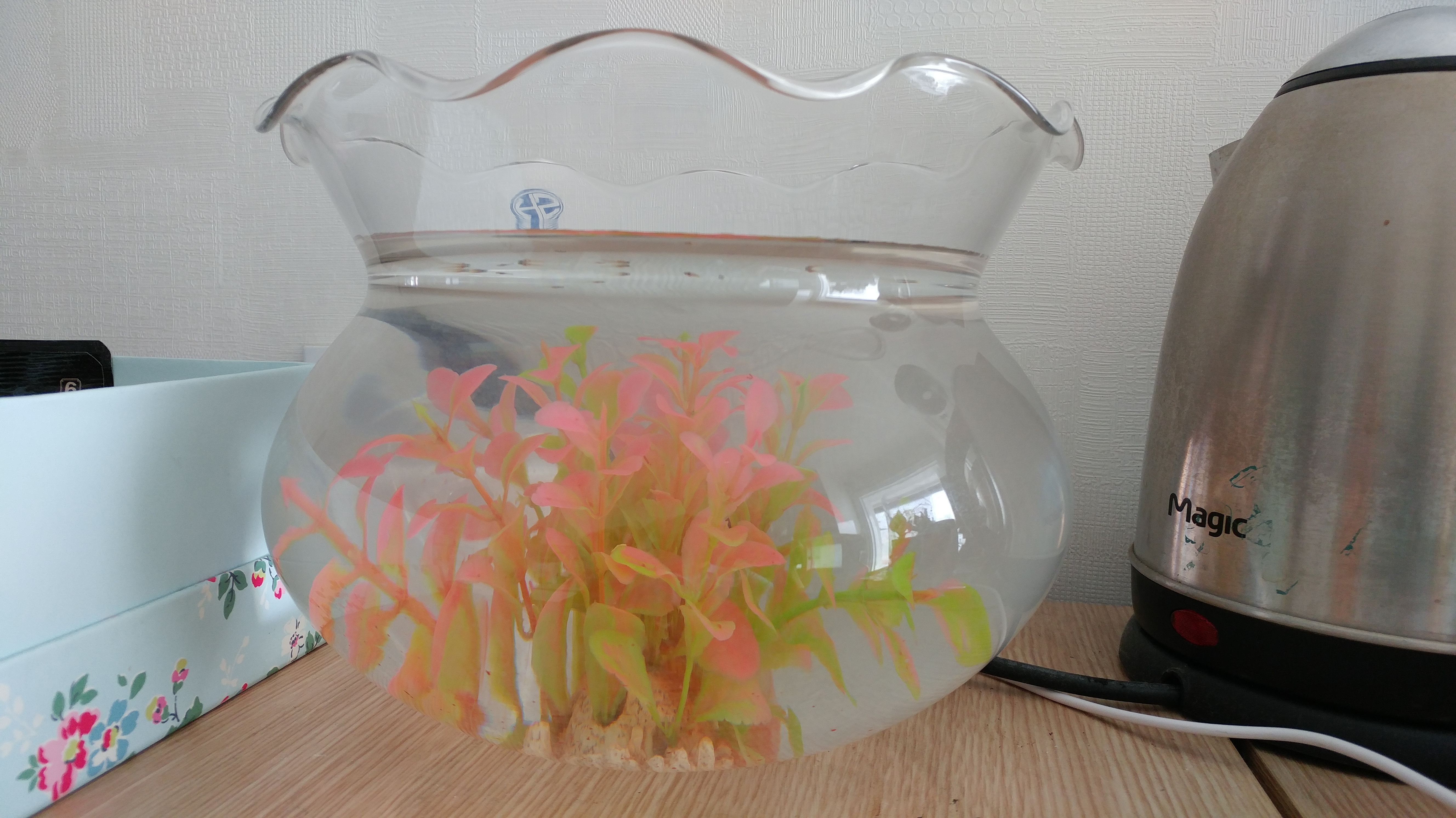 20180421_162841.jpg