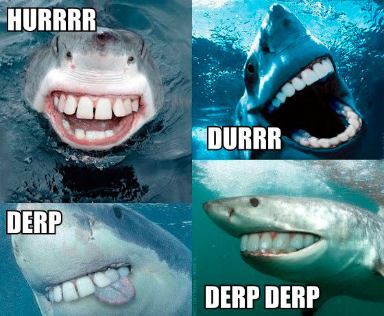 funny-shark-derp.jpg