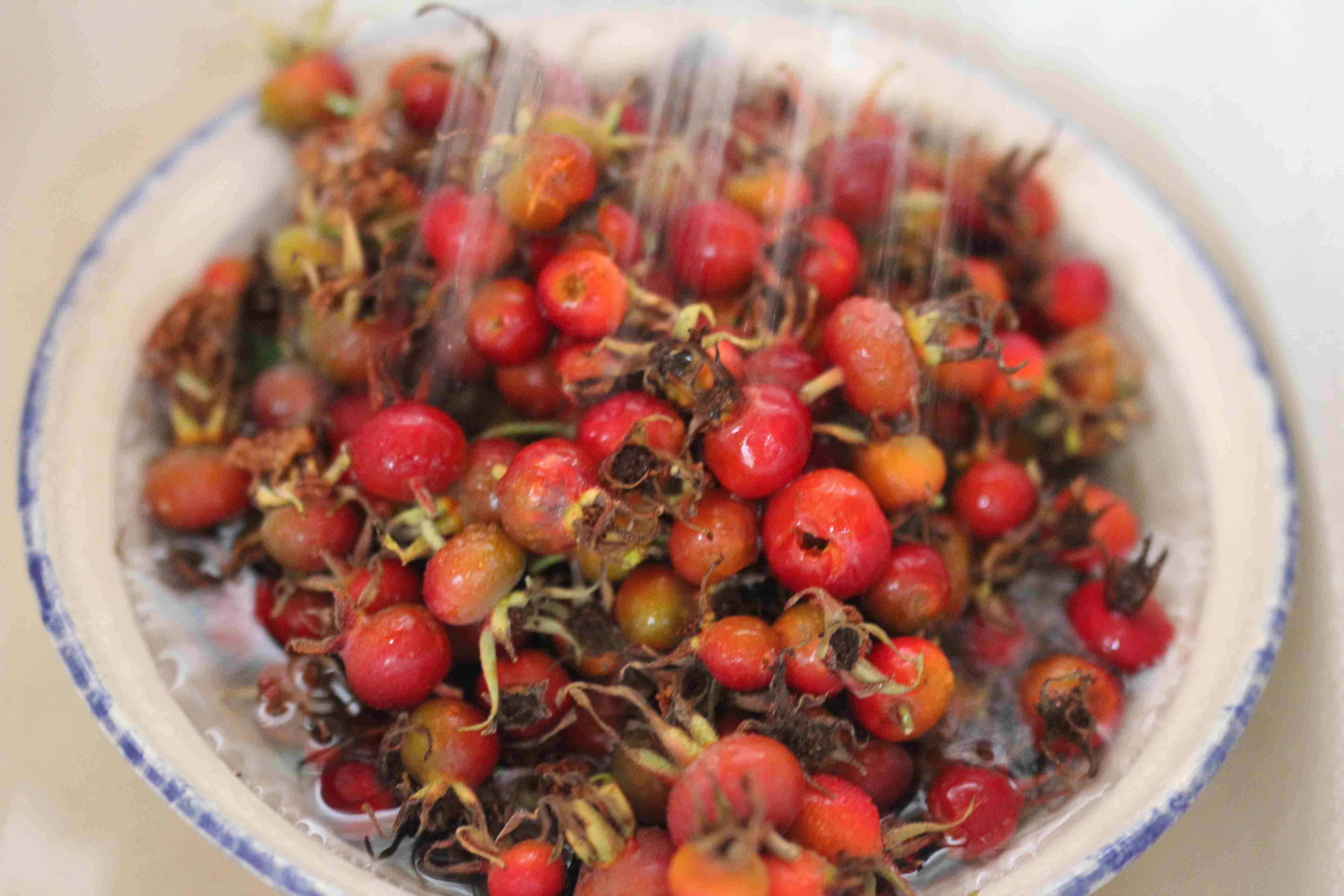 Should You Remove Rose Hips