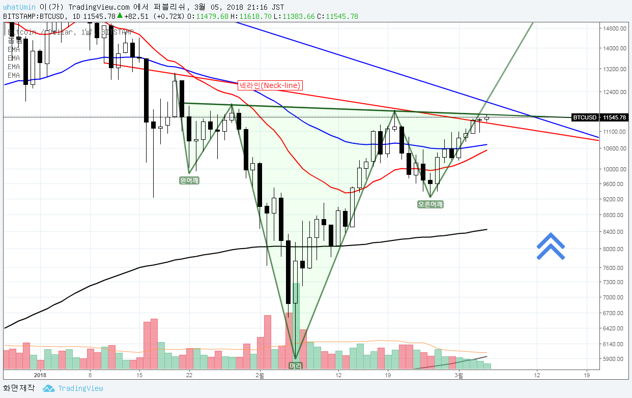 BTC 1D 2018 another H&S.png