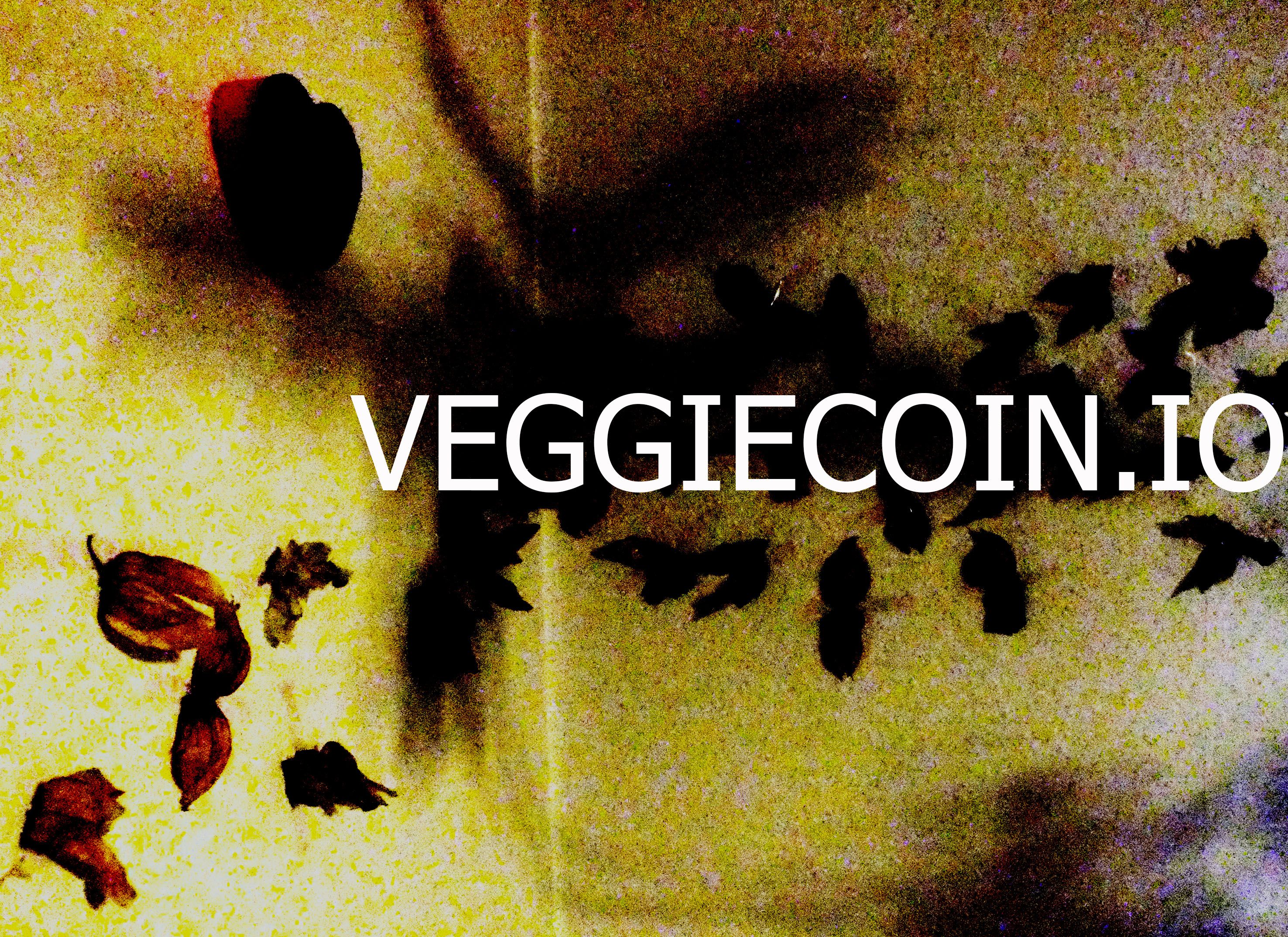 VEGGICOIN.jpg