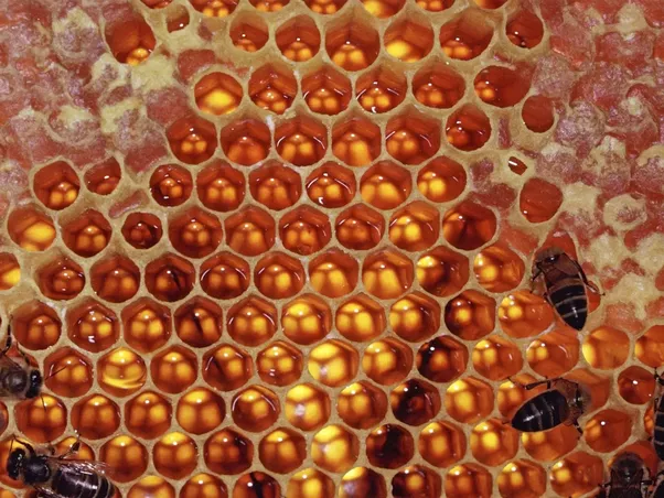 honey comb symmetry .png