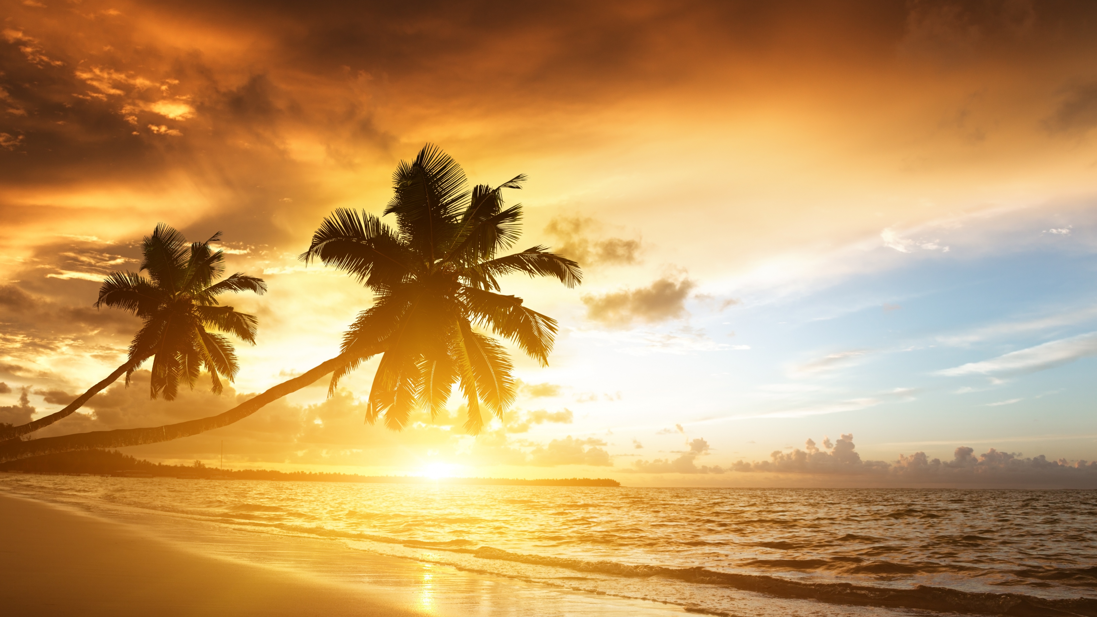 beach_tropics_sea_sand_palm_trees_sunset_evening_84730_3840x2160.jpg