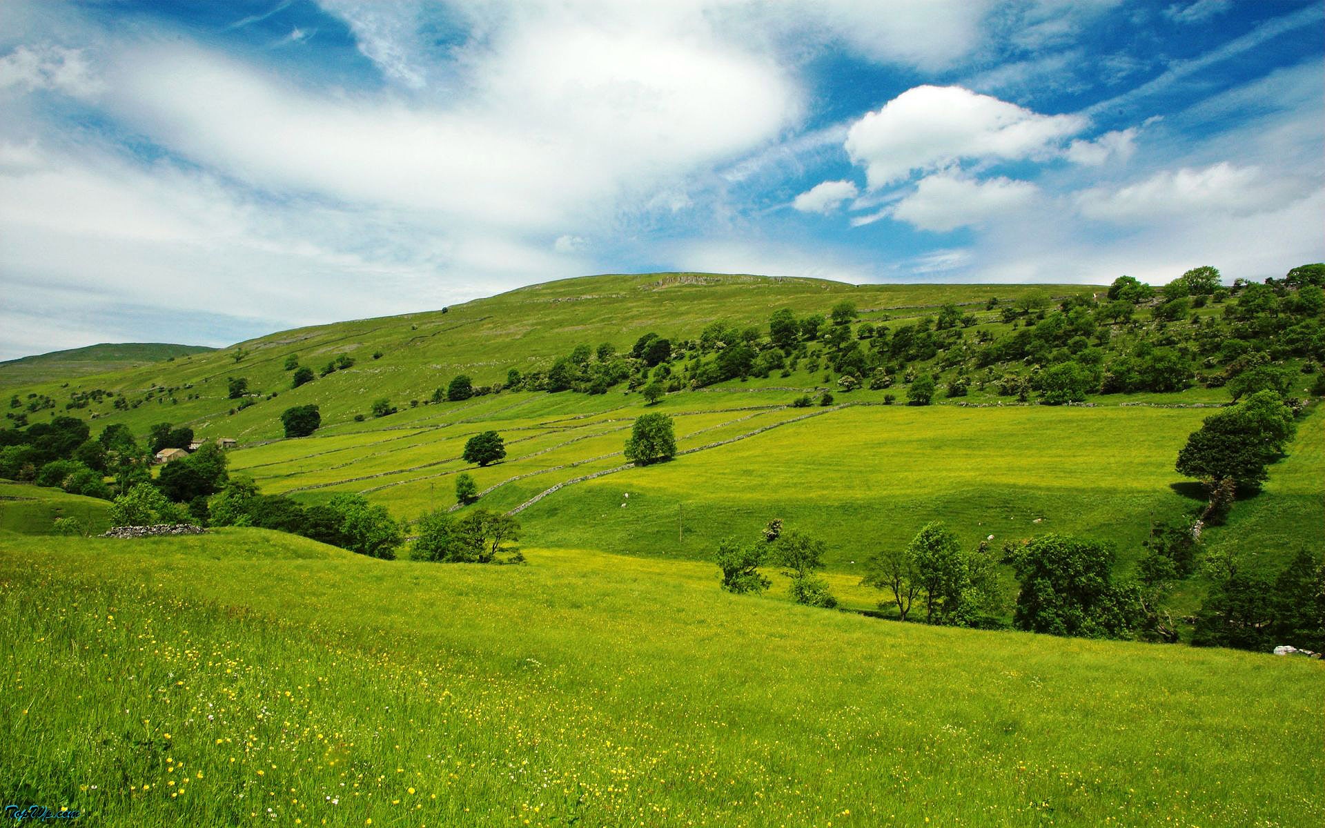 green-hills-1920x1200.jpg