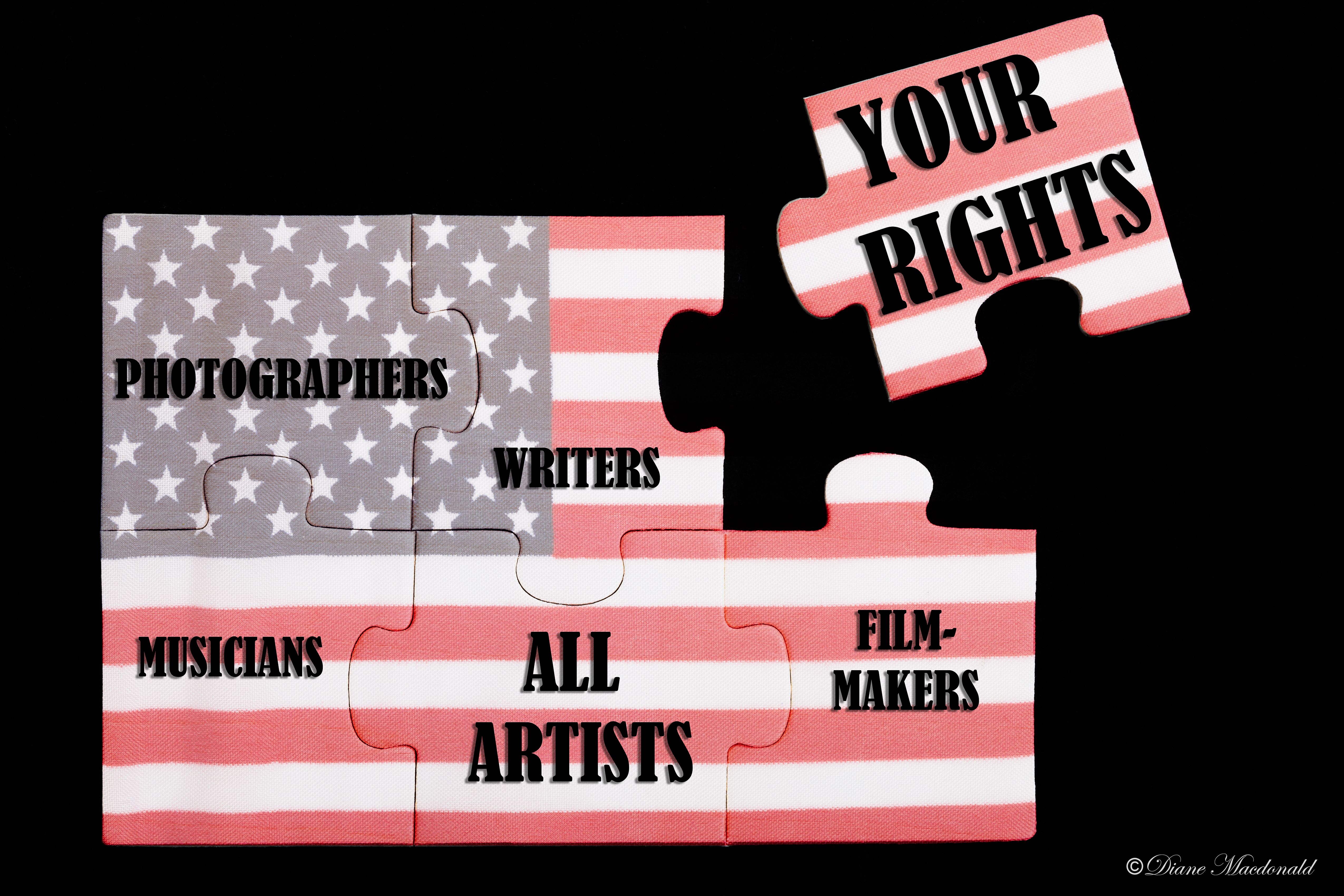 your rights puzzle.jpg