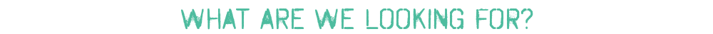 WhatAReWeLookingFor.png