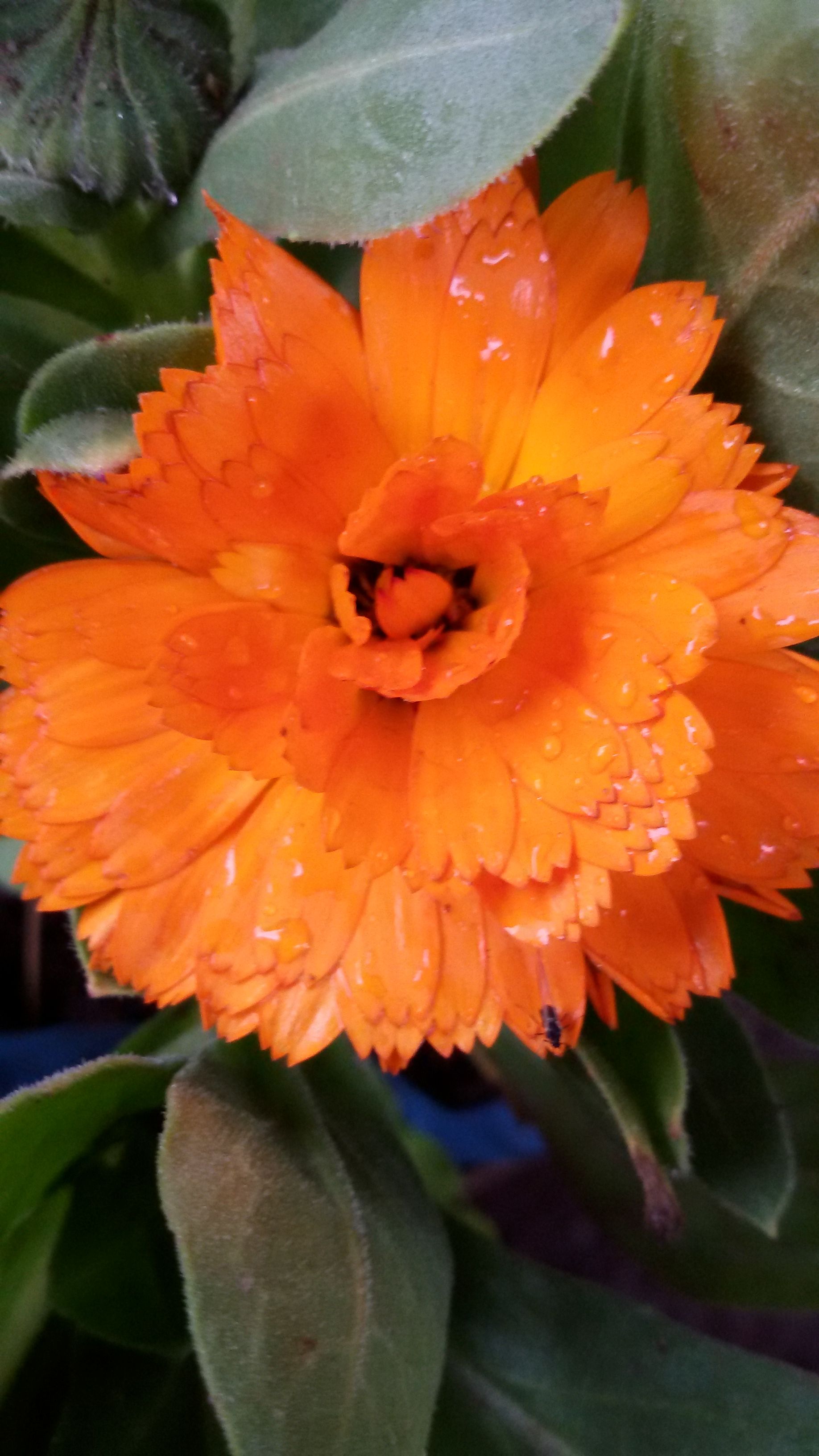 20180224_143713.jpg