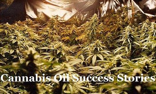 cannabis oil success 1.jpg