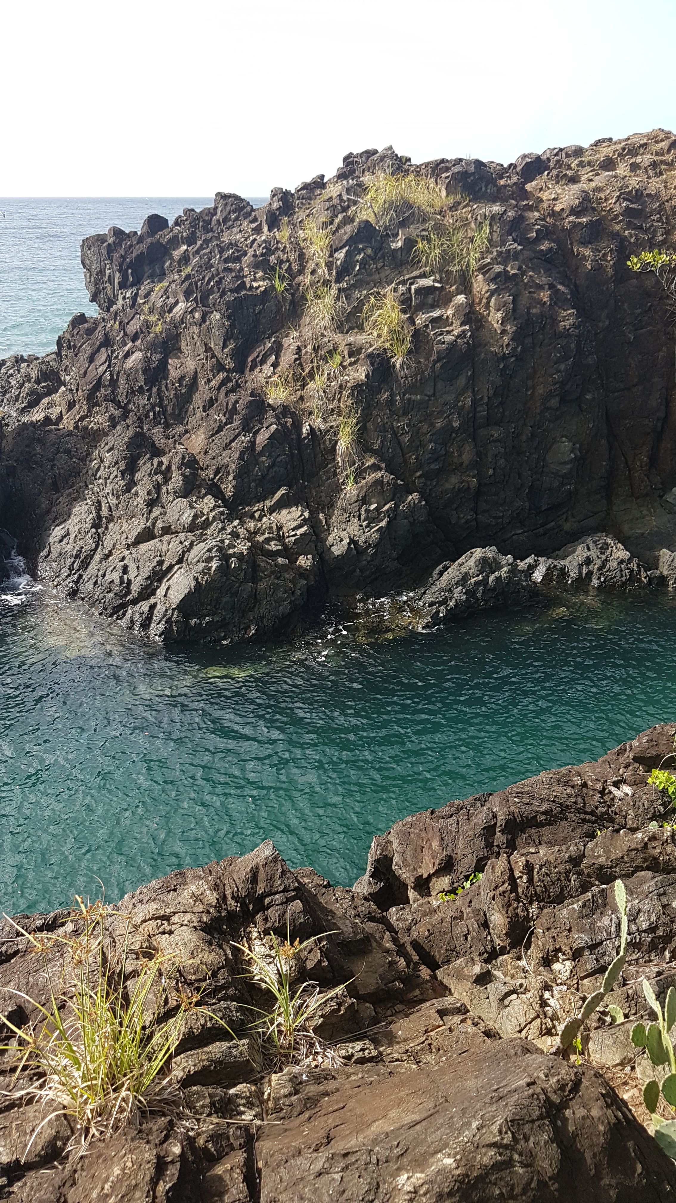 20160801_152456.jpg