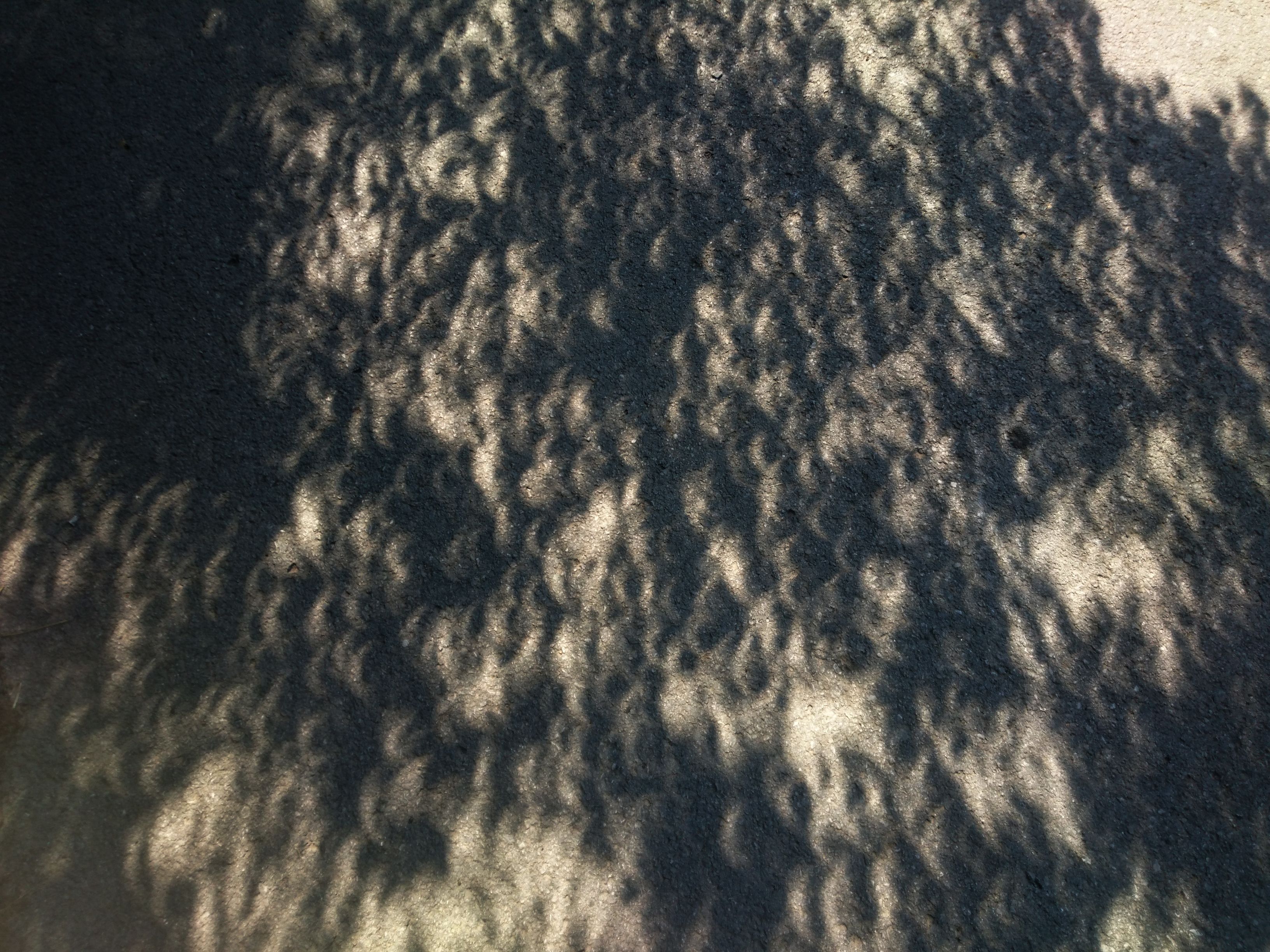 DSC_0841.JPG