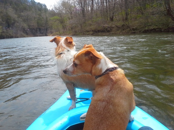 20150412_123945.jpg