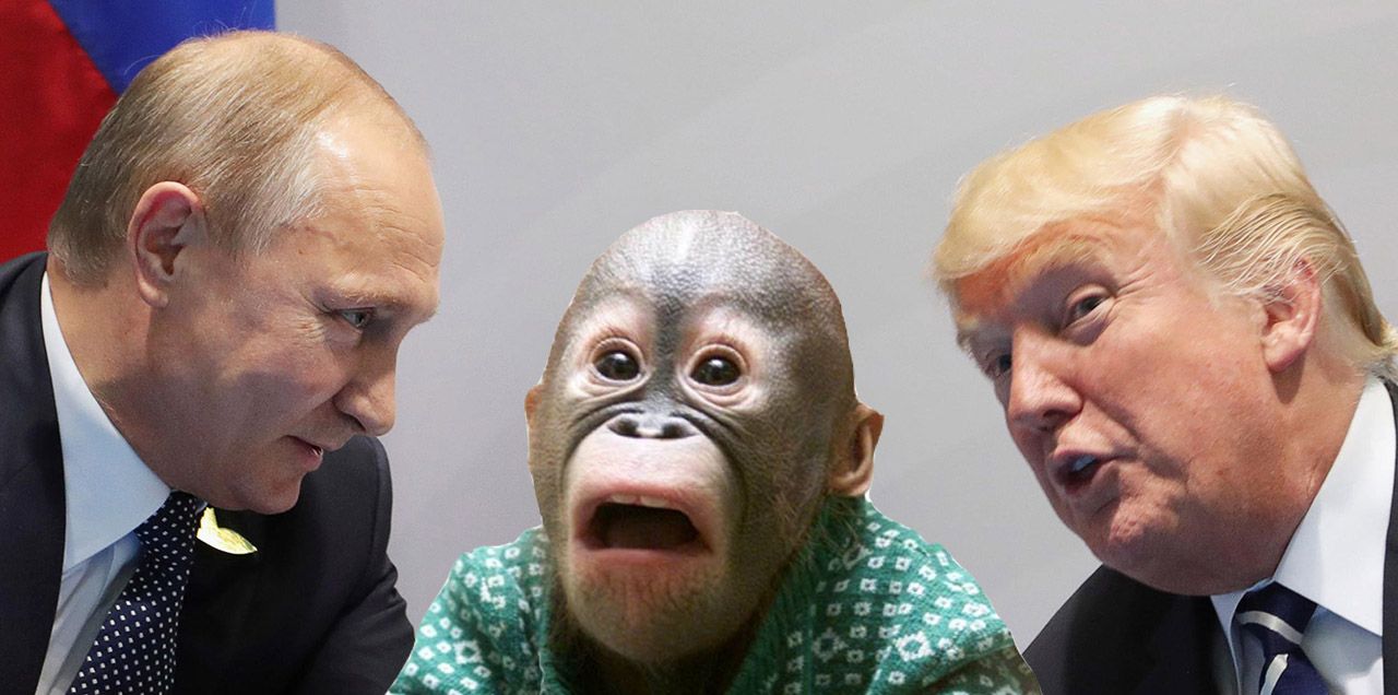 Putin Trump Monkey.jpg