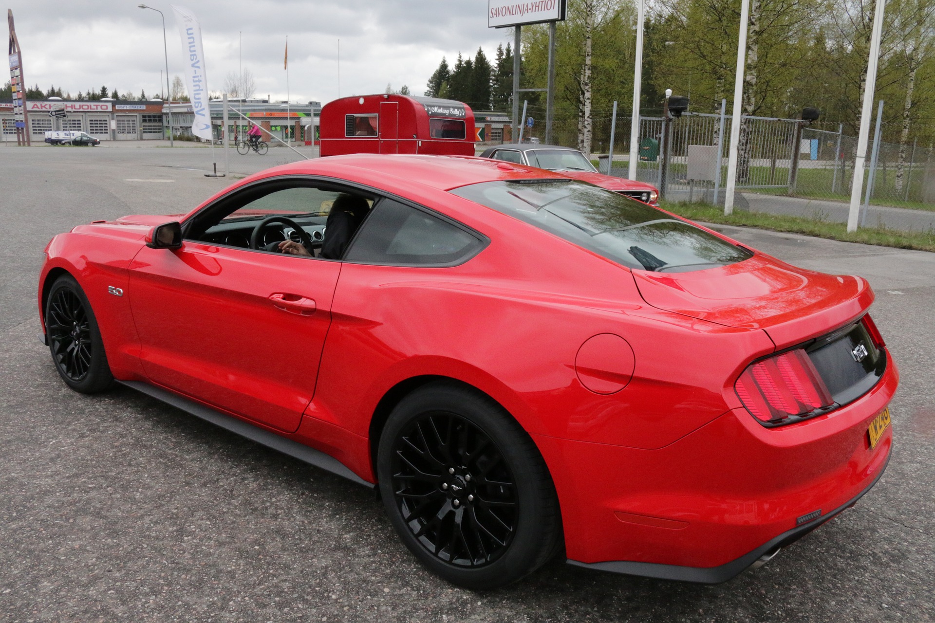 mustang-771272_1920.jpg